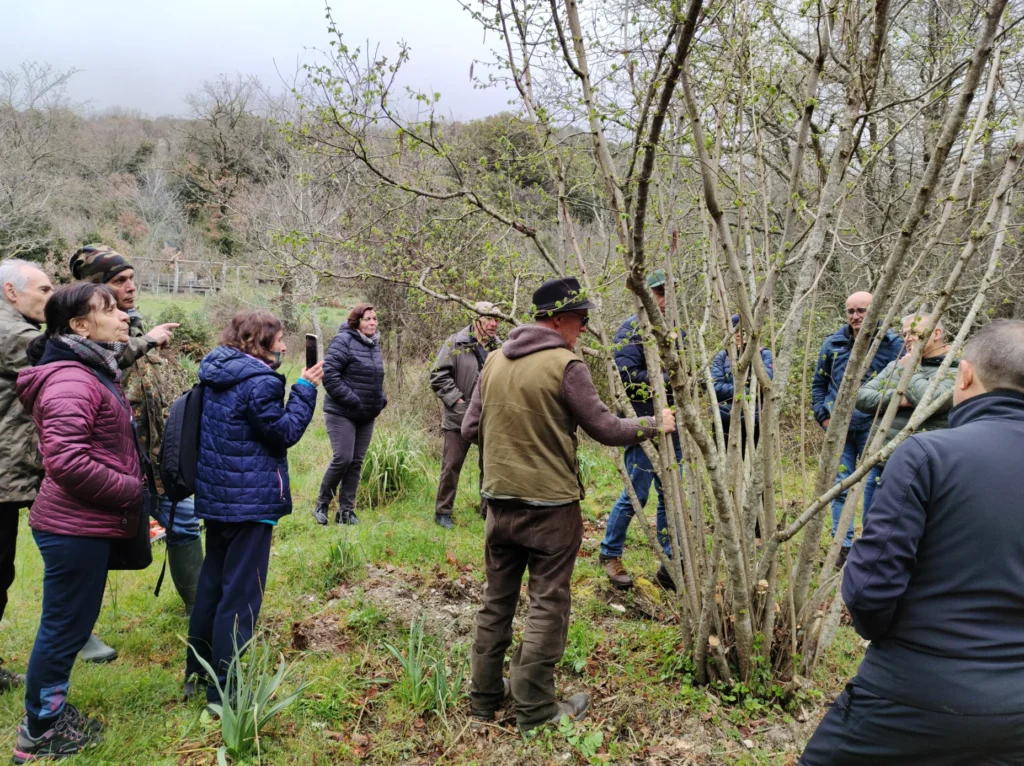 associazione-biodiversita-potatura Associazione Biodiversità Desulo - Giornata di potatura