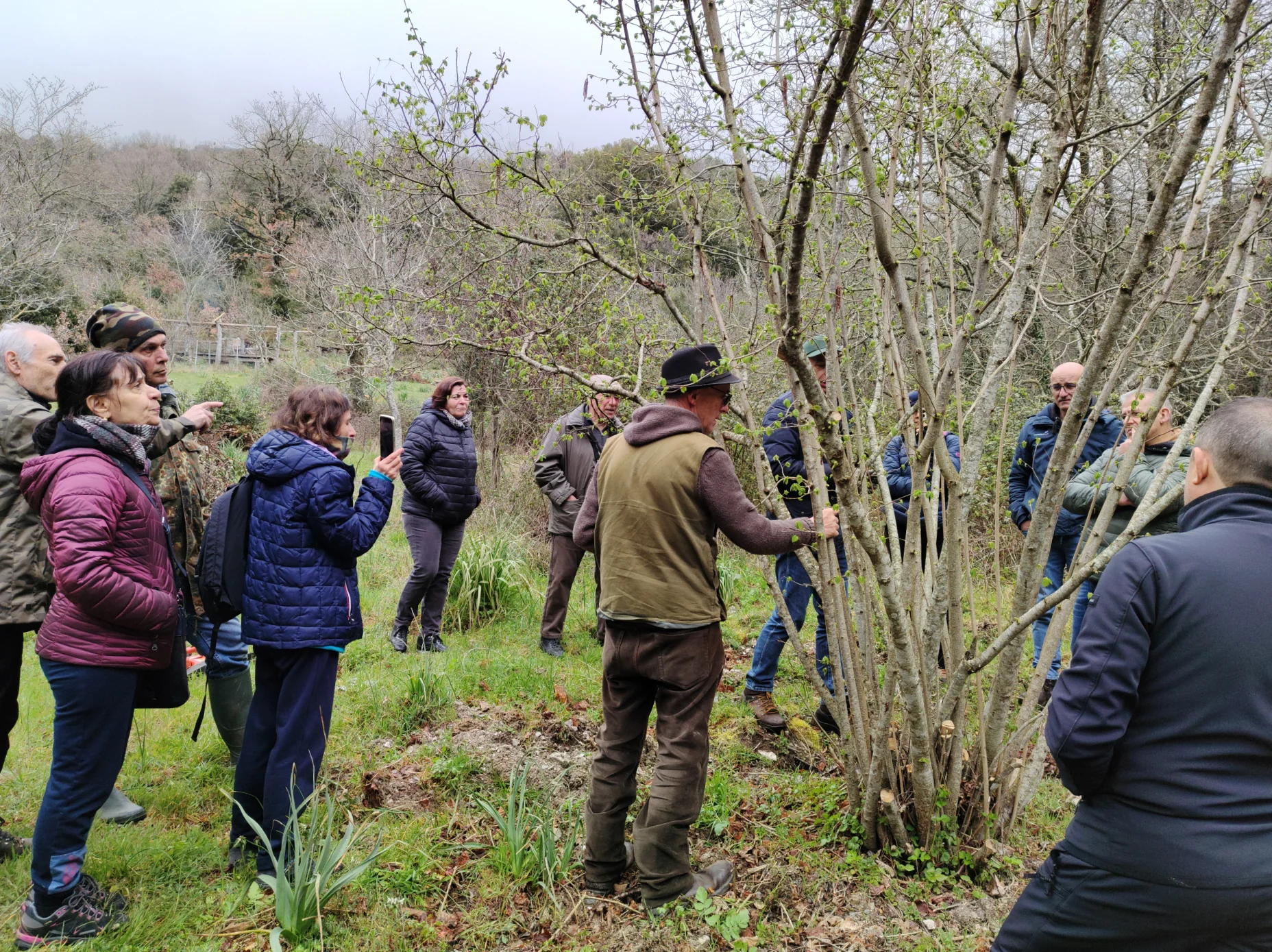 Associazione Biodiversità Desulo - Giornata di potatura