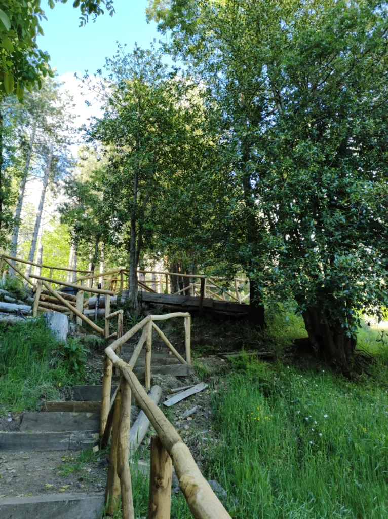 desulo_boschi Gennargentu