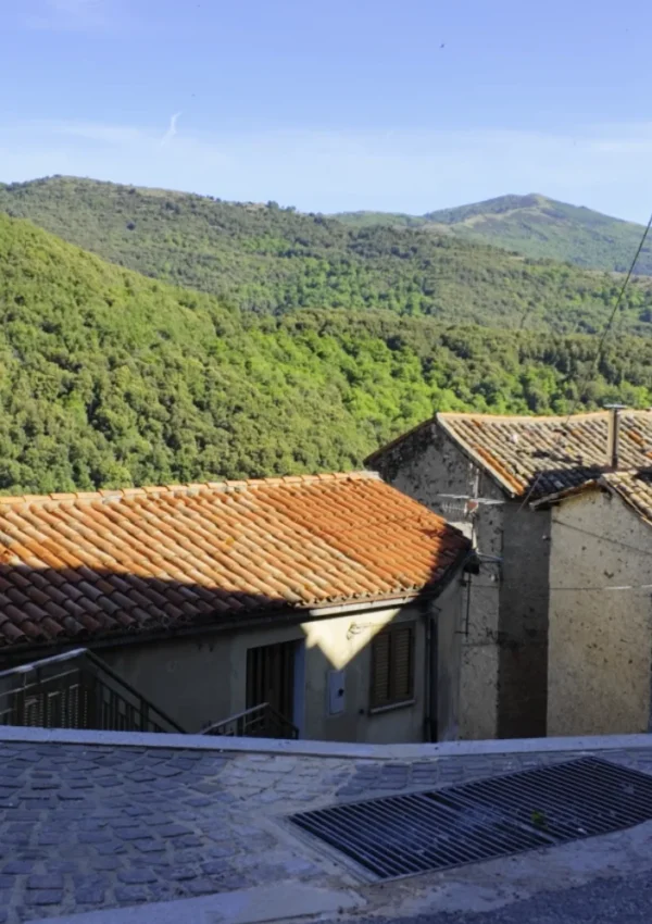 Centro storico di Desulo, Panorama di tetti e colline Vista dall'alto su tetti in coppi arancioni di un borgo, con un ampio panorama di colline coperte da boschi verdi sotto un cielo azzurro.
