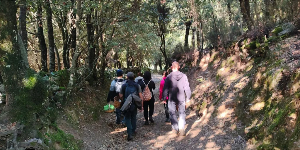 Passeggiata nel bosco Passeggiata nel bosco